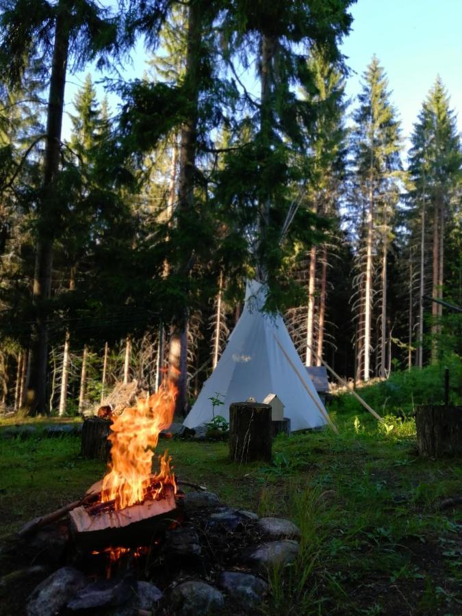Dame Vam Pokoj - 4 Pokoje Se Sdilenou Kuchyni, Kapacita Max 9 Osob Гаррахов Экстерьер фото