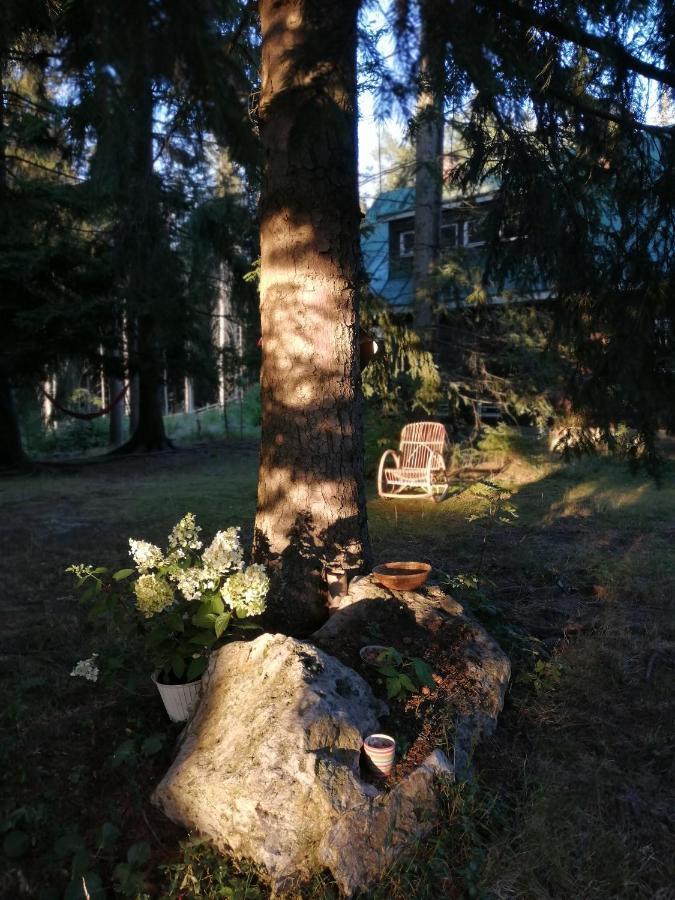 Dame Vam Pokoj - 4 Pokoje Se Sdilenou Kuchyni, Kapacita Max 9 Osob Гаррахов Экстерьер фото